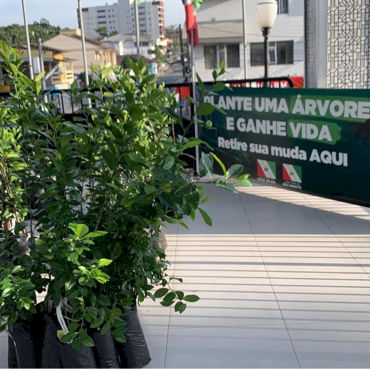 Semana do Meio Ambiente terá ‘Cãominhada’ e atrações gratuitas em Cocal do Sul