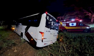 Motorista perde controle de Micro-ônibus e colide em tronco de arvore no acostamento