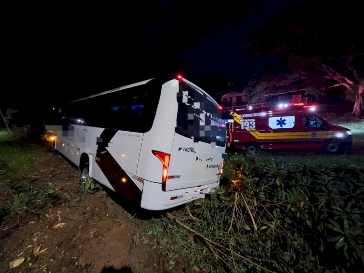 Motorista perde controle de Micro-ônibus e colide em tronco de arvore no acostamento