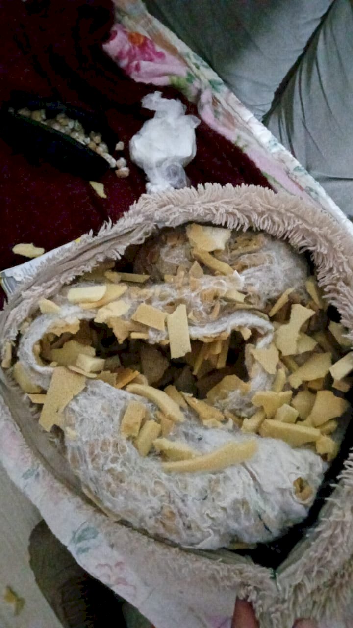 Casal e um adolescente são preso com Cocaína em Forquilhinha