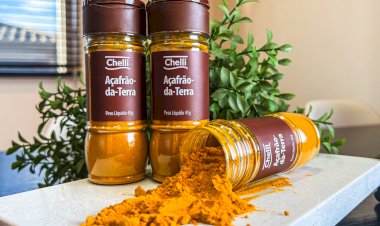 Tempero não é tudo igual: o Açafrão-da-Terra que você consome é mesmo de qualidade?