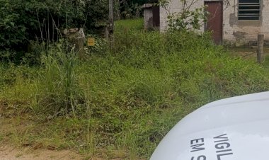 Cocal do Sul confirma doença transmitida por gatos e amplia ações de prevenção para todos os bairros