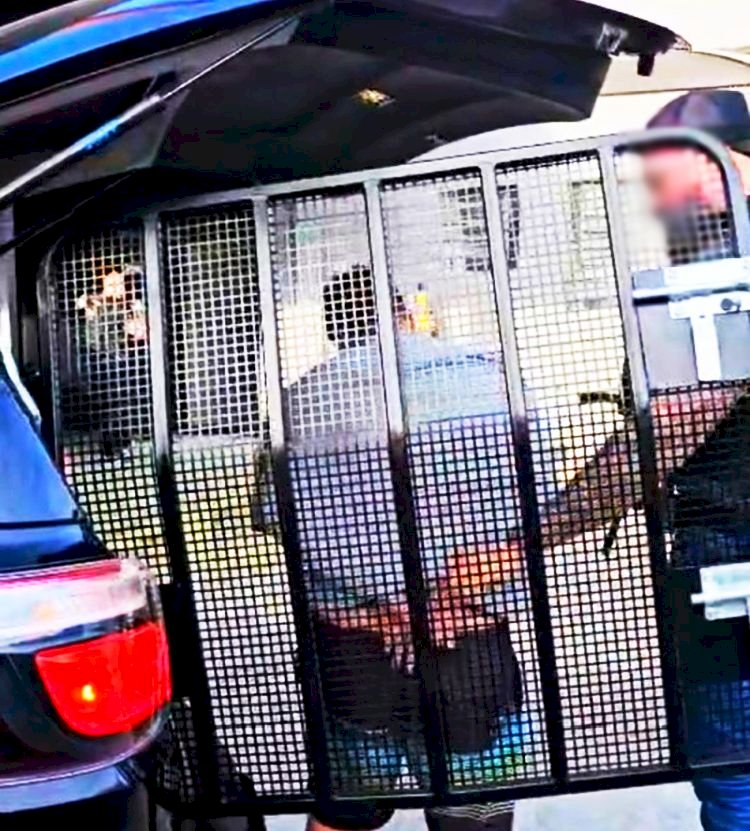 Operação Rotativo: Polícia Civil de Criciúma realiza prisão após assalto com arma de fogo em empresa de estacionamento