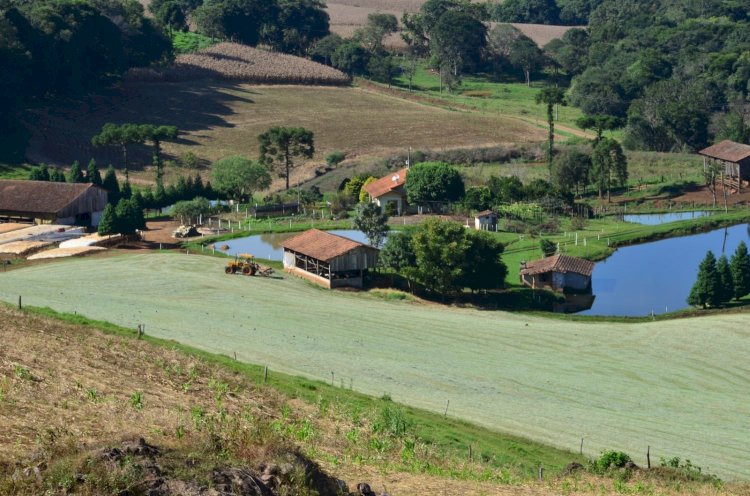 Governo de SC envia para Alesc programa para impulsionar investimentos em até R $ 26 bilhões e gerar 40 mil vagas de emprego no campo
