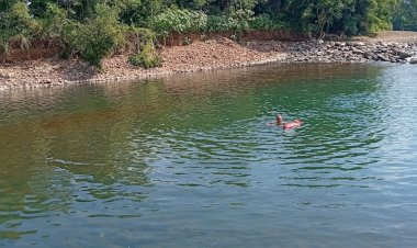 Mulher de 38 anos morre afogada em Rio na Região Sul