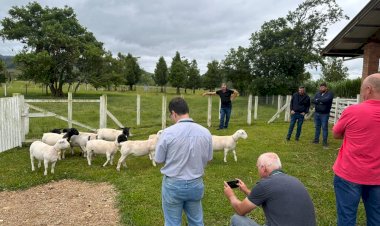 Lançado no Sul do estado, projeto fortalece cadeia produtiva de ovinos e caprinos
