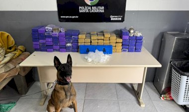 PM apreende mais de 70 kg de drogas e prende homem em flagrante em Forquilhinha