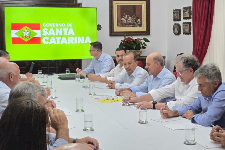Setor orizícola solicita apoio do Governo de SC para evitar colapso da cadeia produtiva de arroz