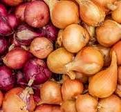 Baixo preço da cebola repercute na Alesc