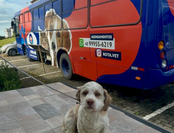 Distrito de Caravaggio terá ação gratuita de castração neste sábado