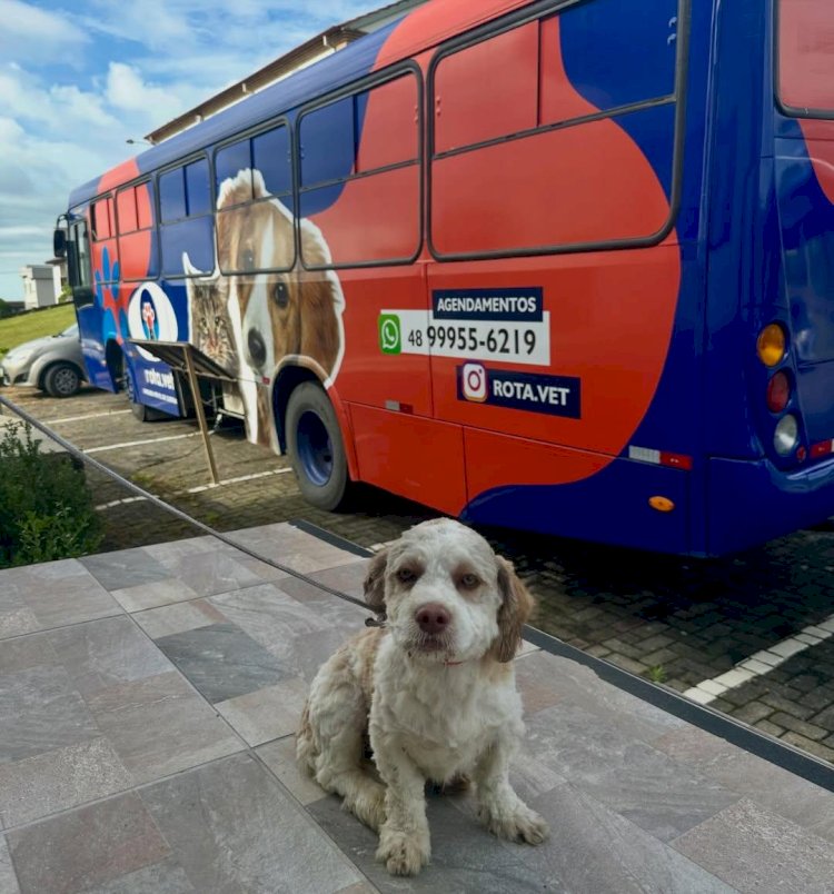 Distrito de Caravaggio terá ação gratuita de castração neste sábado