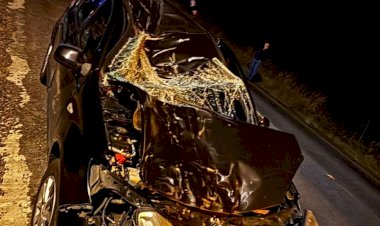CAVALO MORRE APÓS COLISÃO EM VEÍCULO