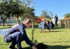 Projeto ambiental dos bombeiros ultrapassa a marca de 500 mudas plantadas no Sul catarinense