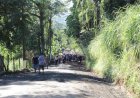 Prefeitura de Criciúma assinará Ordem de Serviço para pavimentação da rua Martinho Brunelli no Morro da Cruz