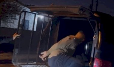 FURTOU ELETRÔNICOS E CAIU NOS BRAÇOS DA POLÍCIA