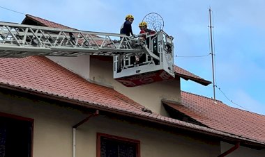 BOMBEIROS UTILIZAM ESCADA GIGANTE PARA SALVAR GATO NO TELHADO