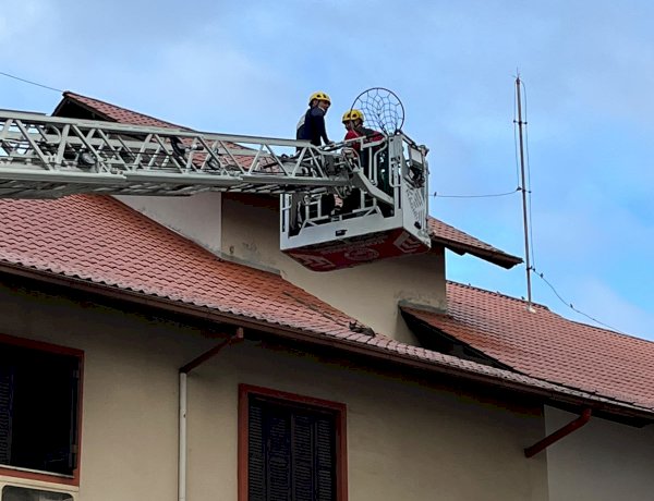 BOMBEIROS UTILIZAM ESCADA GIGANTE PARA SALVAR GATO NO TELHADO