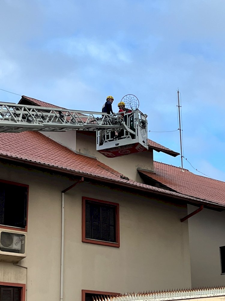 BOMBEIROS UTILIZAM ESCADA GIGANTE PARA SALVAR GATO NO TELHADO