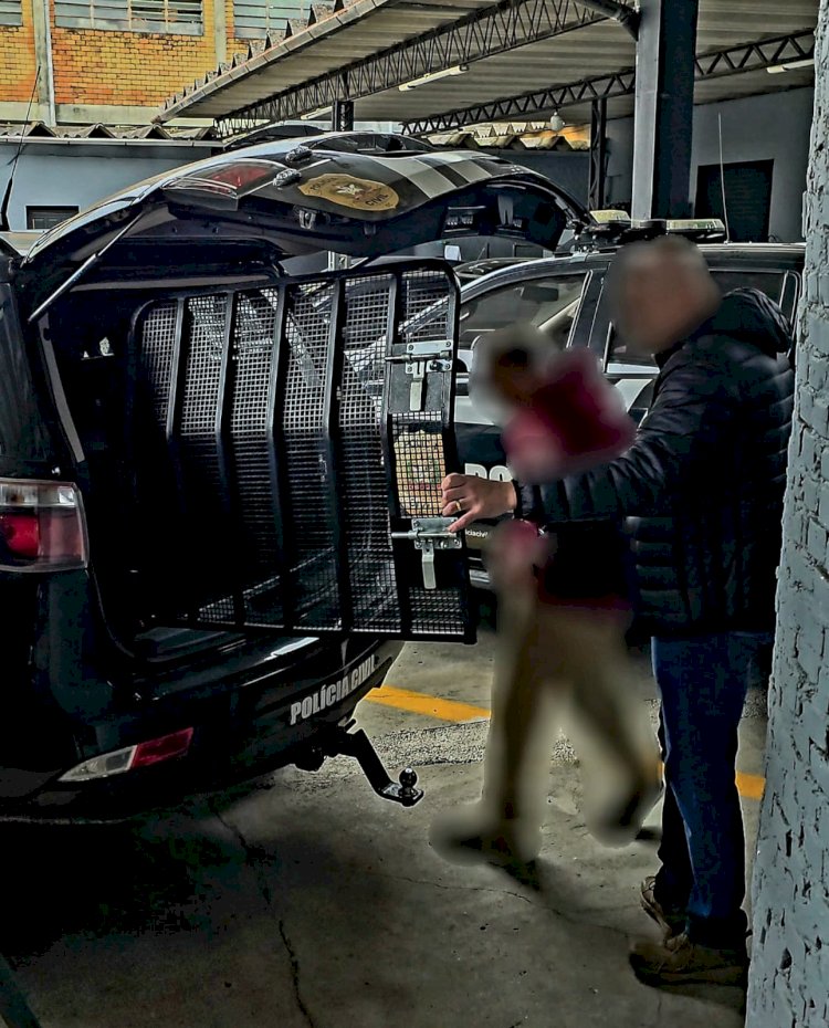 Polícia Civil realiza prisão e esclarece roubo, furto e receptação em Criciúma