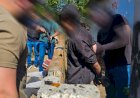 Polícia Civil prende dupla por roubo com uso de faca em Criciúma e recupera motocicleta furtada
