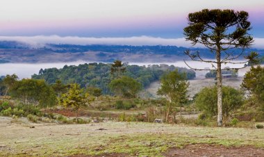 Frio persiste em Santa Catarina nesta semana e chuva forte retorna a partir de sexta