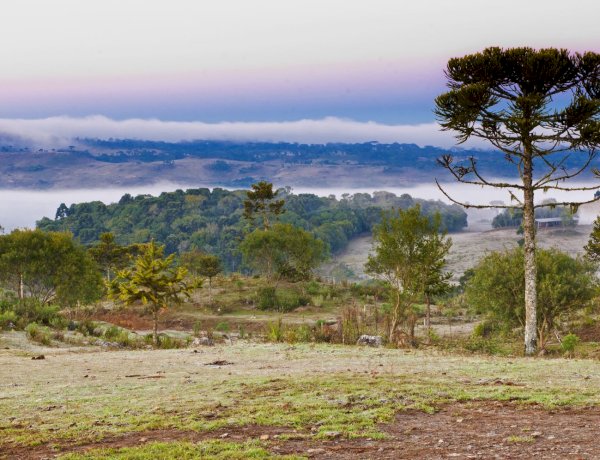 Frio persiste em Santa Catarina nesta semana e chuva forte retorna a partir de sexta