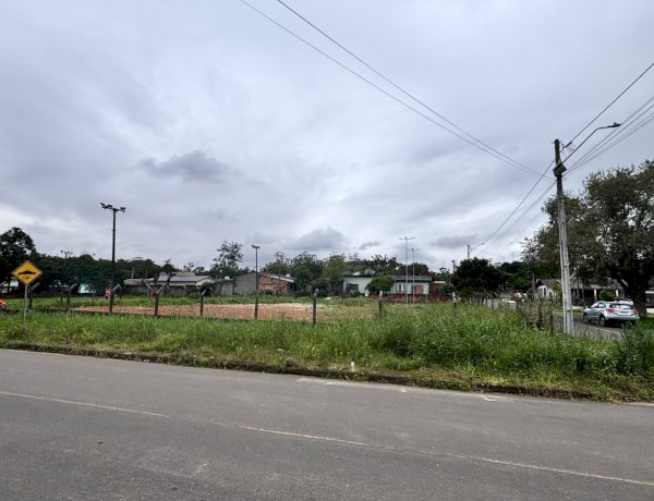 Apoio do Legislativo garante limpeza de área destinada ao futuro Centro Comunitário do Jardim Esteves