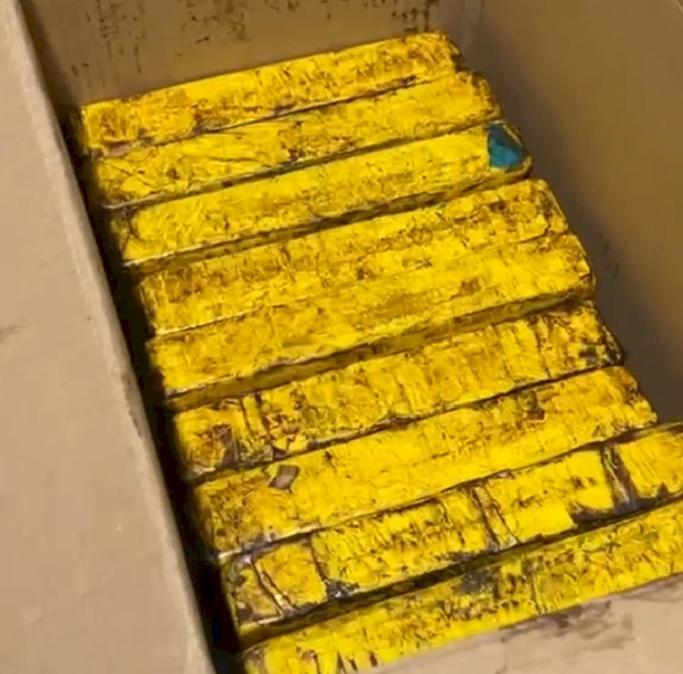 Polícia Civil deflagra operação contra o tráfico de drogas no Sul apreende drogas e armas