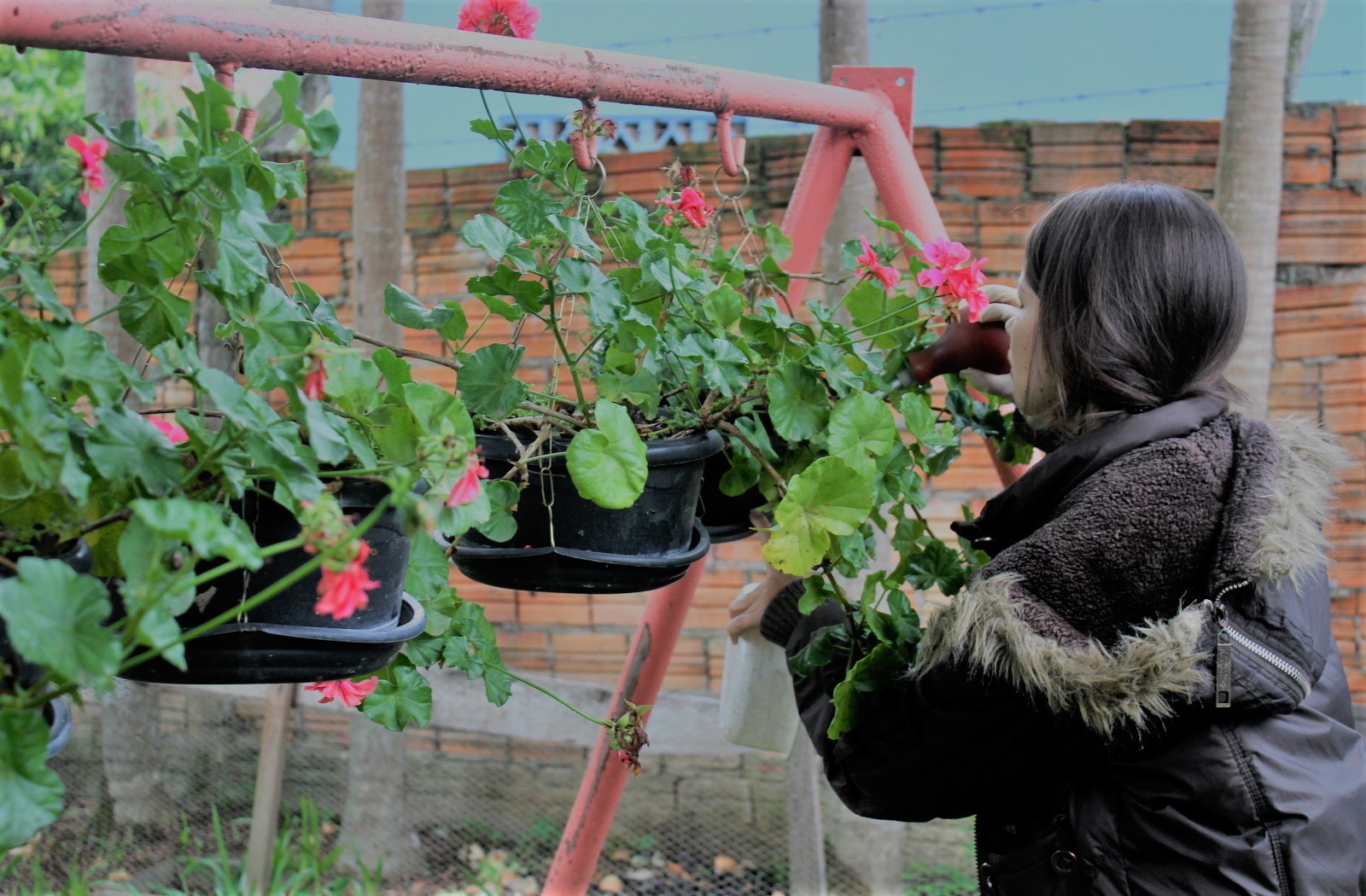 Bairro Jardim Maristela em alerta com o Aedes aegypti
