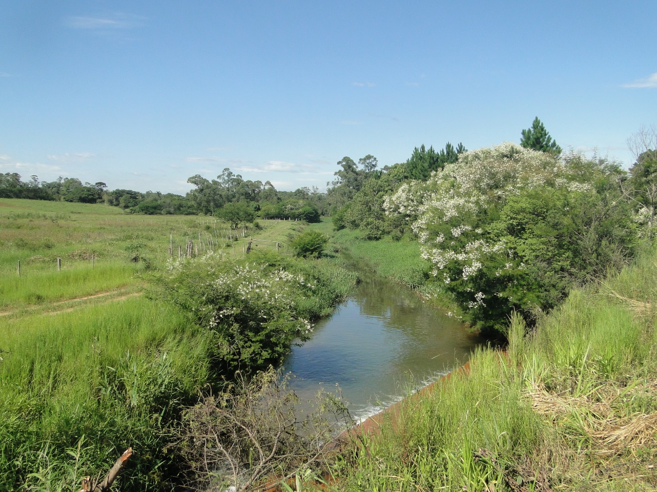 Famcri elabora projeto de educação ambiental para alunos da Rede Municipal de Ensino