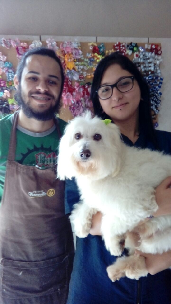 Mutirão de castração de cães e gatos neste sábado a preço de custo
