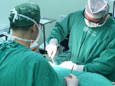 Hospital São José realiza mais uma captação de órgãos