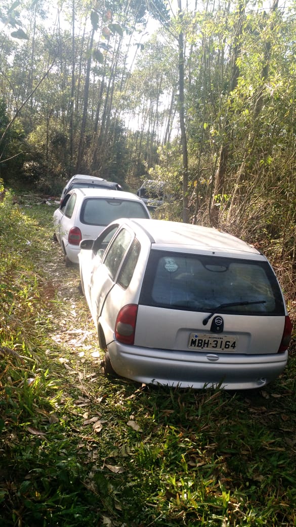 Cinco veículos furtados são encontrados pela Polícia