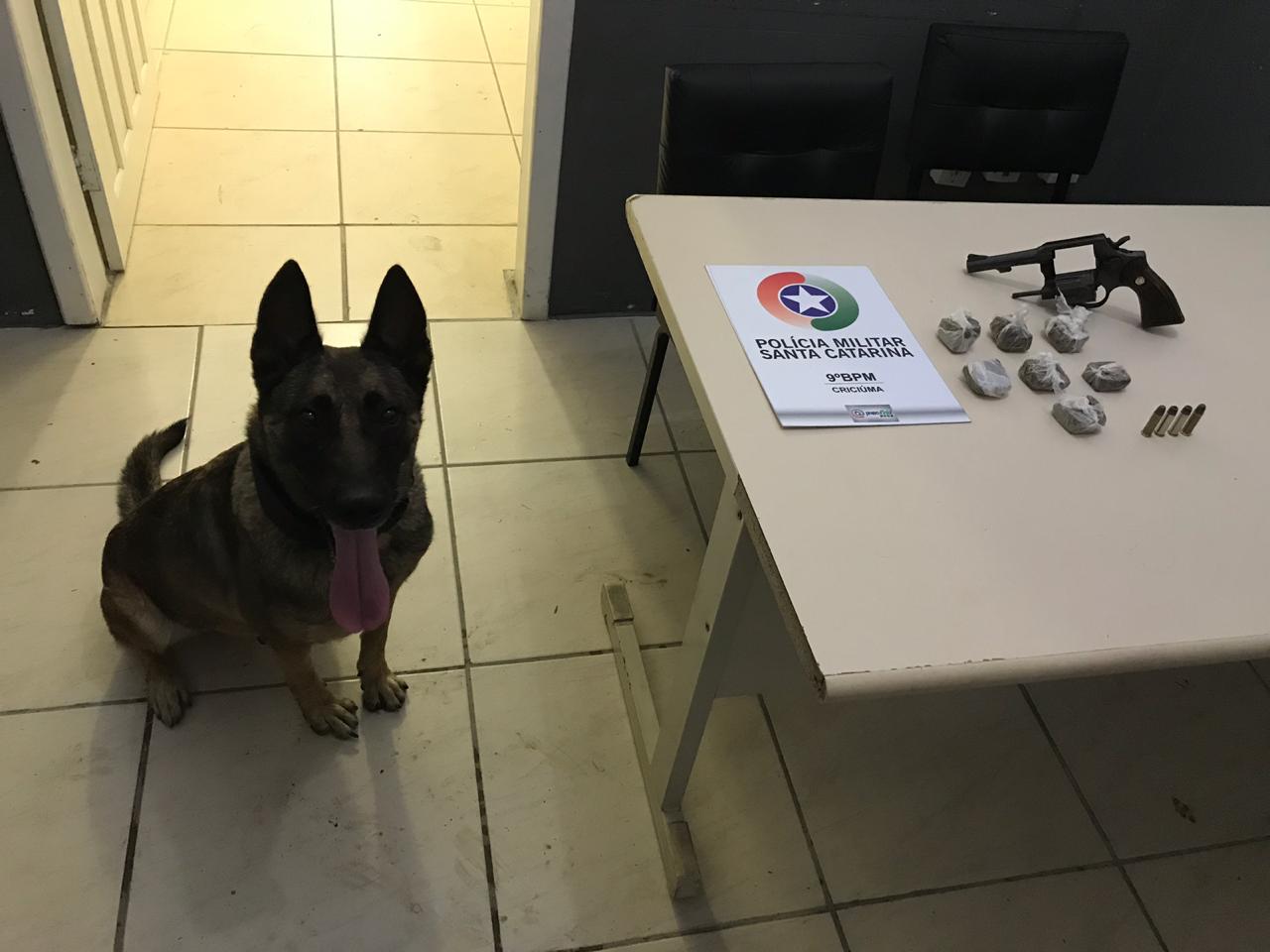 Cão Flecha da PM encontra drogas na região dos trilhos