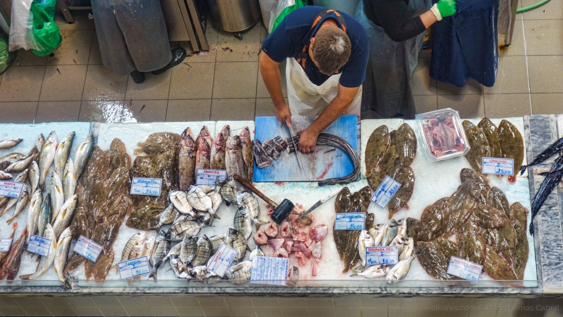 Procon de Criciúma divulga nova pesquisa de preços e dá dicas para compras de Páscoa