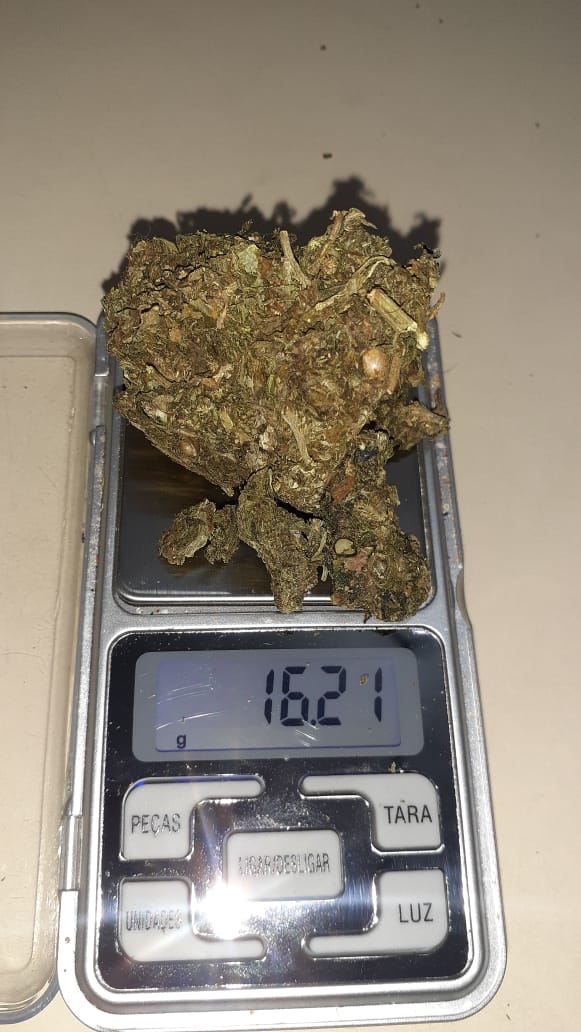 k-9 da Polícia Militar encontra drogas atrás de bar